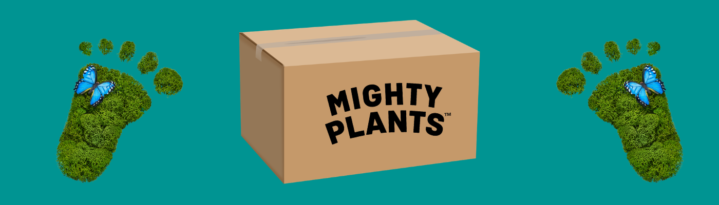 Why We Deliver Frozen Vegan Food by Courier (And Why It’s Better for the Planet)