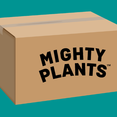 Why We Deliver Frozen Vegan Food by Courier (And Why It’s Better for the Planet)