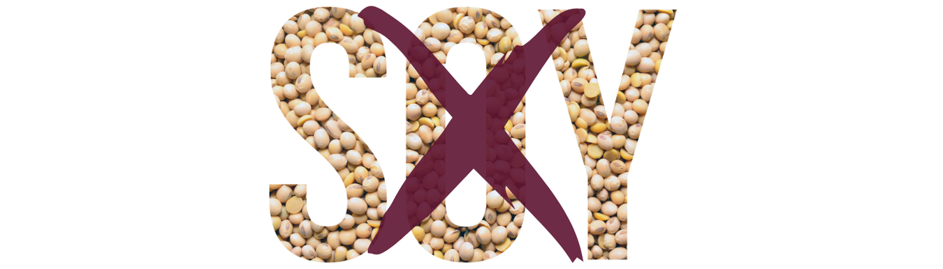 Soya-Free Vegan Food